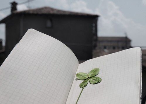 Four leaf clover - talisman for good luck