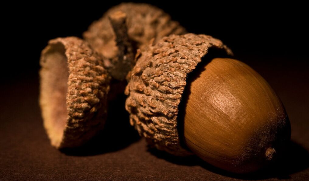 amulets for good luck - acorn