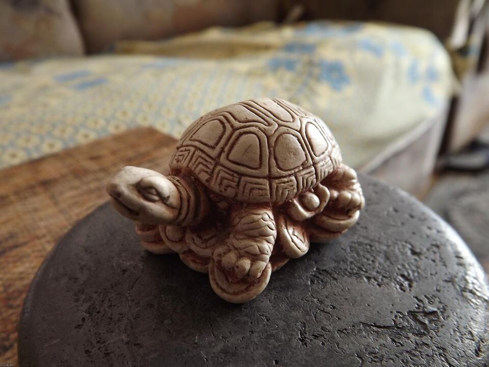 turtle statue as a good luck charm