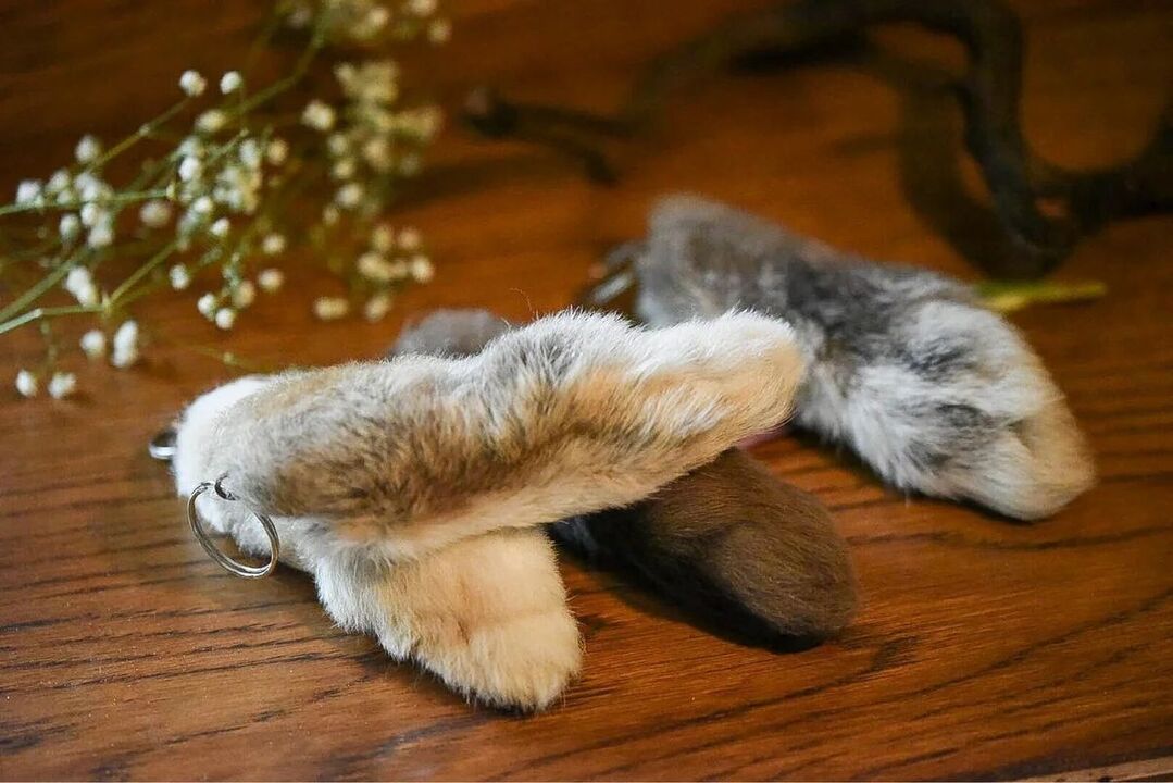 rabbit's feet for good luck